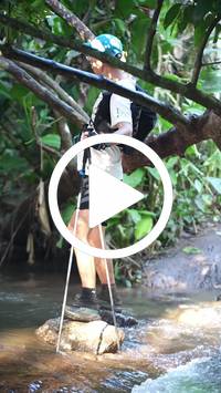 BIB:  <button type="button" onclick="openModal(27825651)" class="btn btn-primary btn-sm float-right" data-toggle="modal" data-target=".modal-high-quality">
                <i class="fa fa-download"></i> Download
                </button>